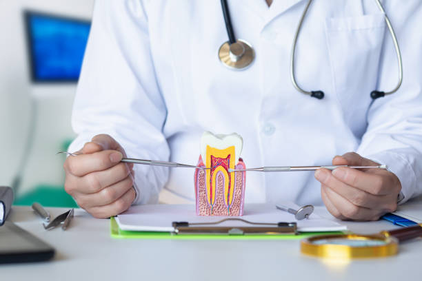 Best Emergency Treatment for Toothache in Prceton, IN